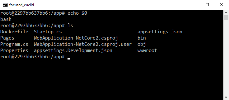 Screenshot of bash window