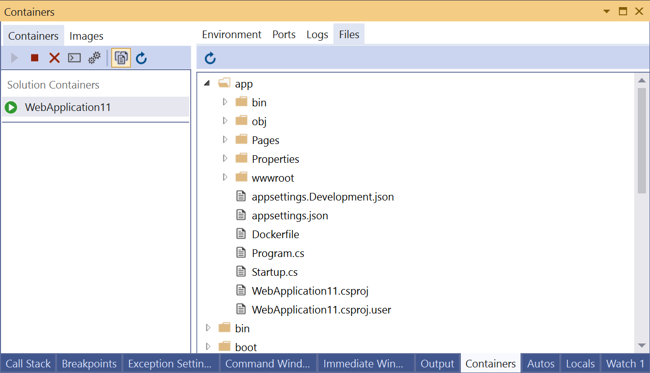 Screenshot of Files tab in Containers window