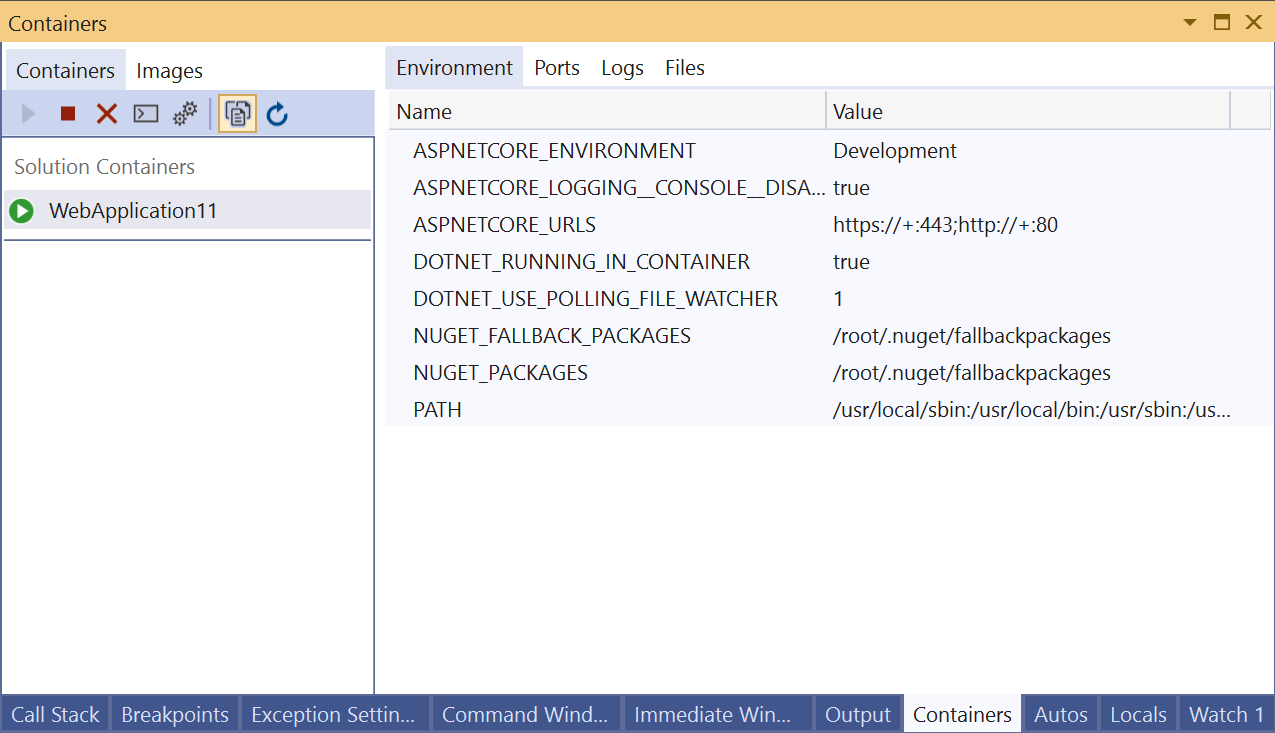 Screenshot of Environment tab in Containers window