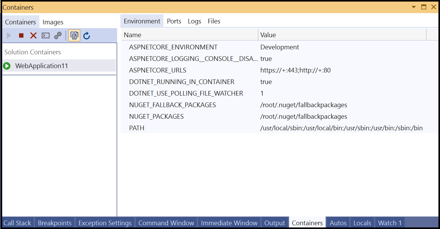 Screenshot of Environment tab in Containers window