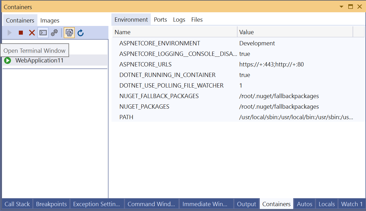 Screenshot of Open Terminal Window in the Containers window