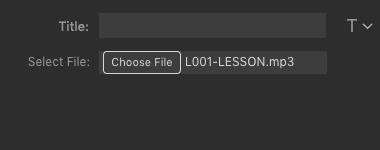 File-Selector original